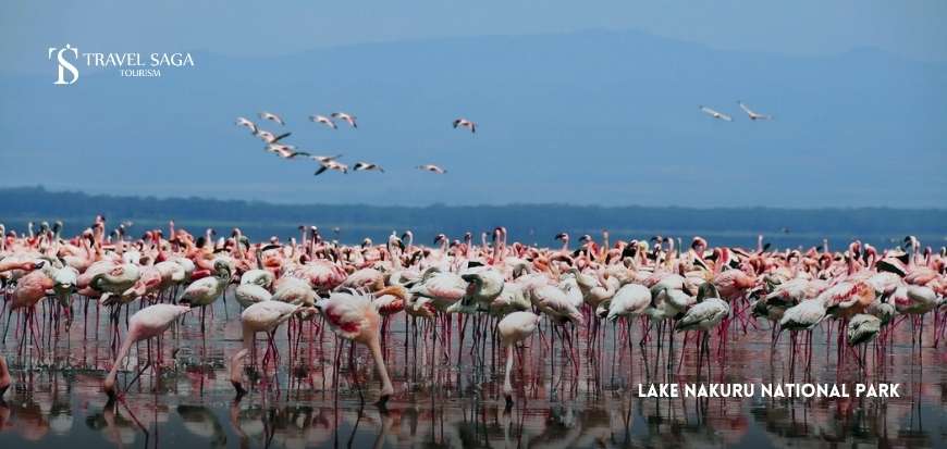 Lake Nakuru National Park