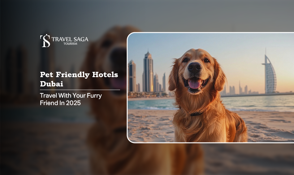 pet friendly hotels Dubai, pet friendly villas Dubai Blog Banner by Travel Saga Tourism