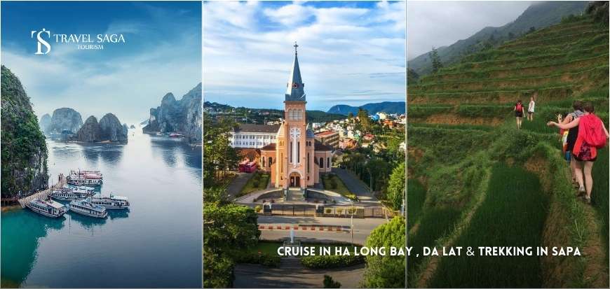 Cruise In Ha Long Bay , Da Lat & Trekking in Sapa