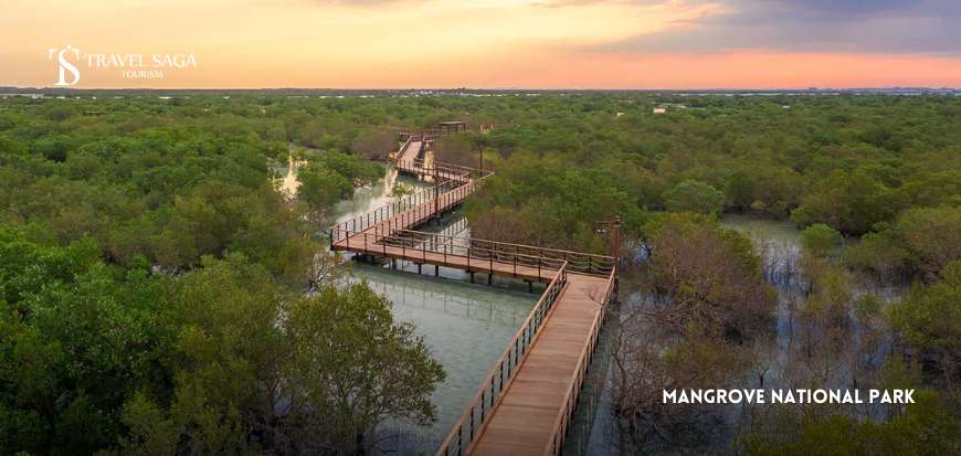 Mangrove National Park
