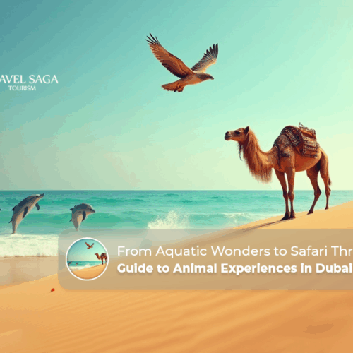 Animal Experiences in Dubai | Dubai Wildlife Experiences Blog Banner by Travel Saga Tourism
