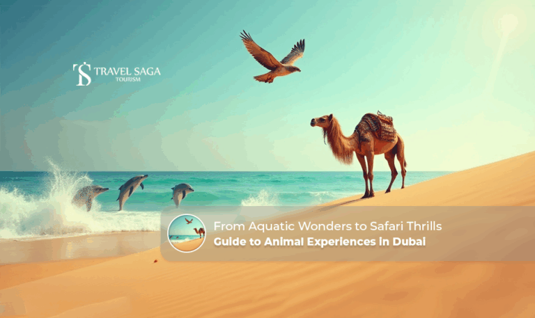 Animal Experiences in Dubai | Dubai Wildlife Experiences Blog Banner by Travel Saga Tourism