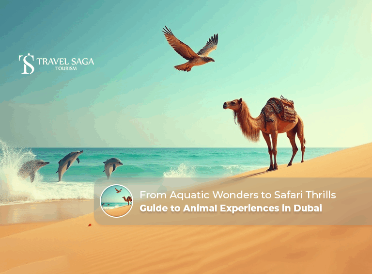 Animal Experiences in Dubai | Dubai Wildlife Experiences Blog Banner by Travel Saga Tourism