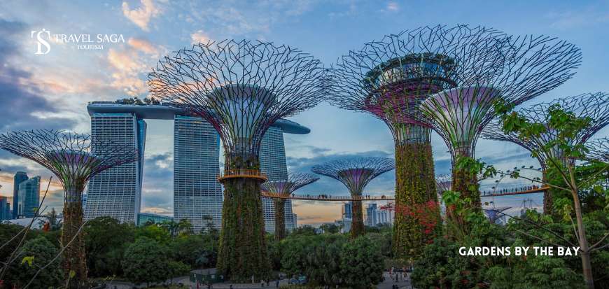 Gardens By The Bay