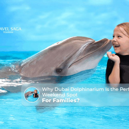 Perfect weekend spot for families, Dubai Dolphinarium weekend spot Blog Banner by Travel Saga Tourism