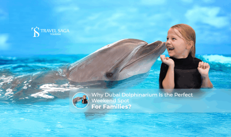 Perfect weekend spot for families, Dubai Dolphinarium weekend spot Blog Banner by Travel Saga Tourism