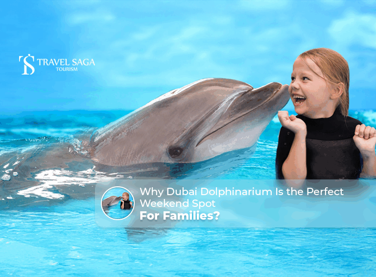 Perfect weekend spot for families, Dubai Dolphinarium weekend spot Blog Banner by Travel Saga Tourism