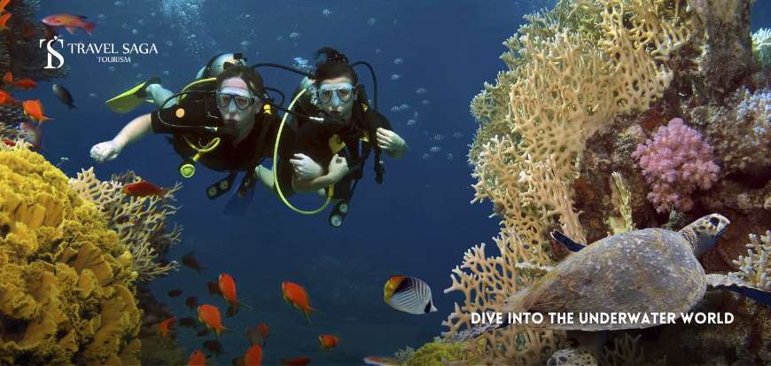 Dive Into The Underwater World