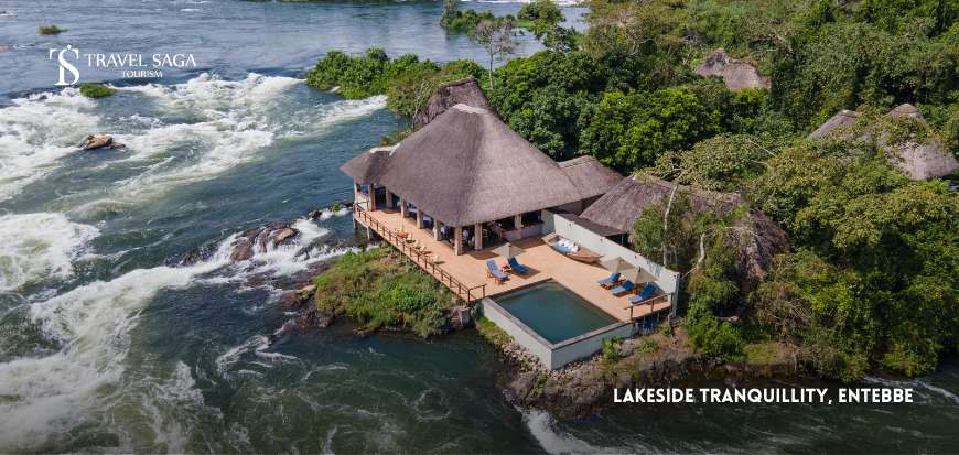 Lakeside Tranquillity, Entebbe  