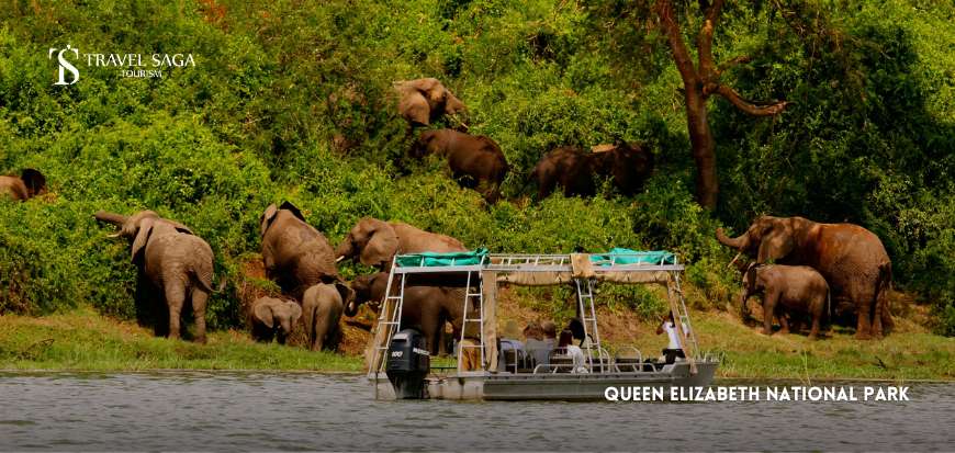 Queen Elizabeth National Park