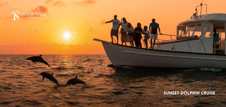 Sunset Dolphin Cruise 