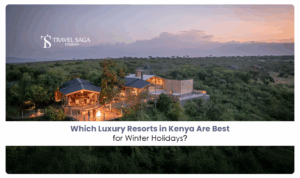 Luxury resorts in Kenya | Kenya winter holiday resorts Blog Banner by Travel Saga Tourism