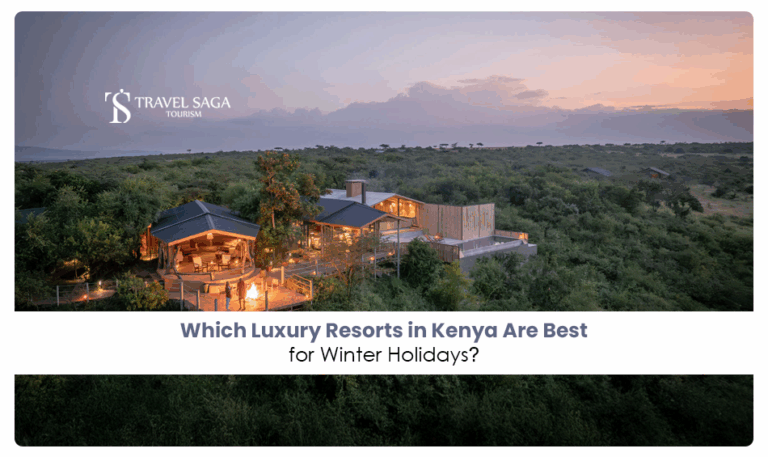 Luxury resorts in Kenya | Kenya winter holiday resorts Blog Banner by Travel Saga Tourism