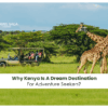 wildlife safaris in Kenya | top adventure places in Kenya Blog Banner by Travel Saga Tourism
