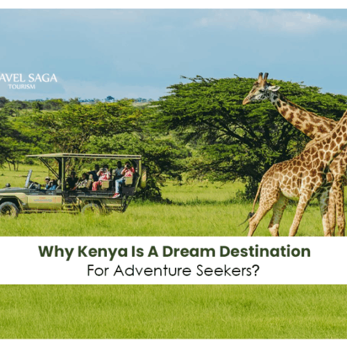 wildlife safaris in Kenya | top adventure places in Kenya Blog Banner by Travel Saga Tourism