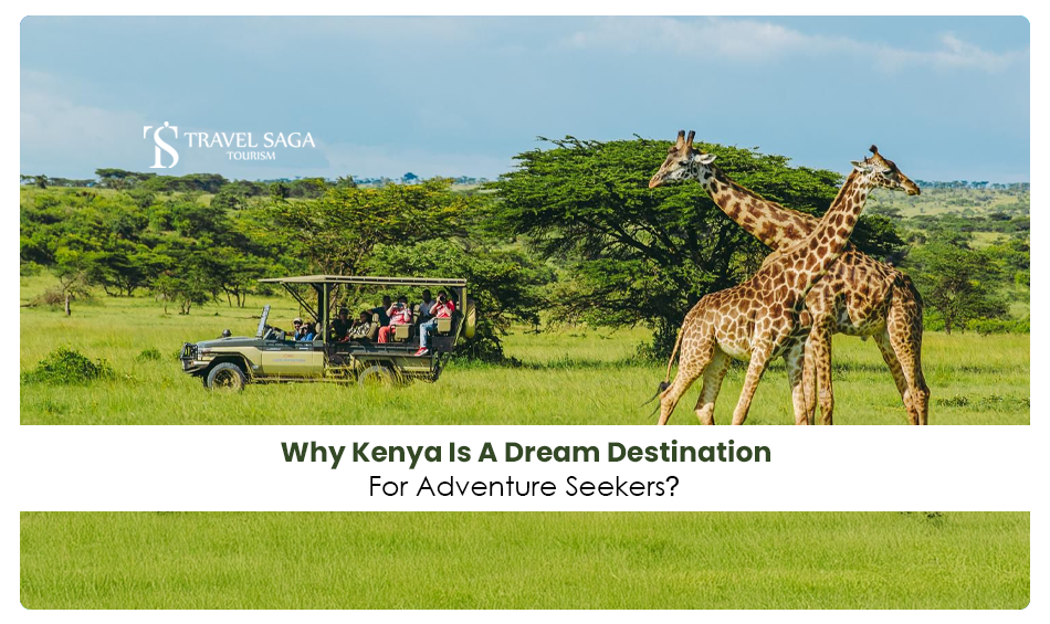 wildlife safaris in Kenya | top adventure places in Kenya Blog Banner by Travel Saga Tourism