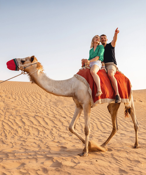 camel ride with Overnight Desert Safari