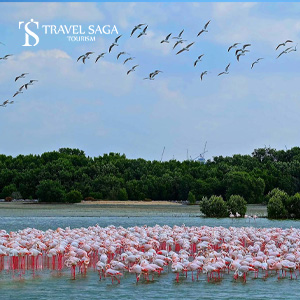Ras Al KHOR with Dubai City Sightseeing