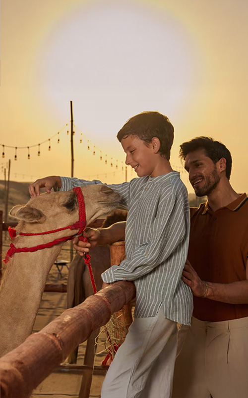 Camel camp with Luxury Heritage Safari Dubai