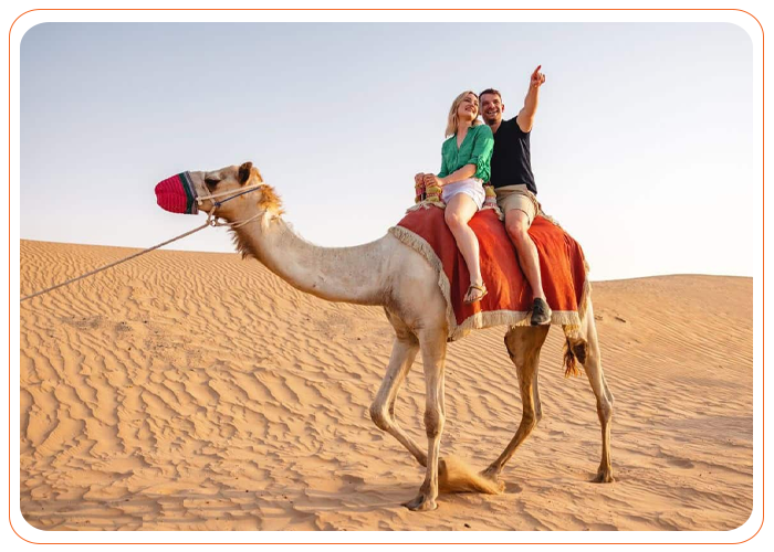 Camel Ride with Luxury desert safari Dubai
