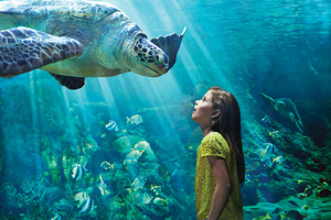 sea world with Kids Activities in Dubai