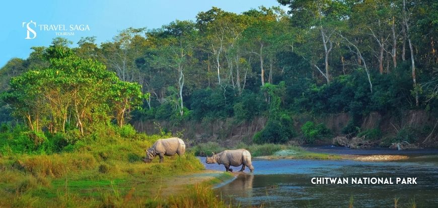 Chitwan National Park