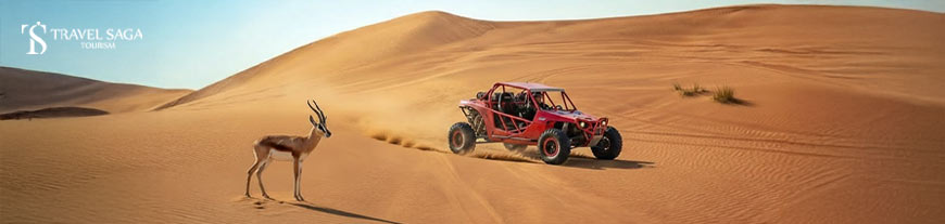 Earth: Desert Dunes & Conservation