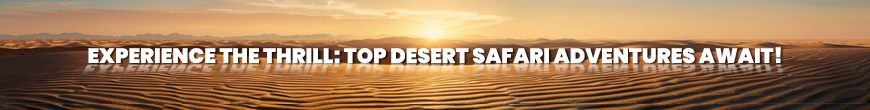 Top Desert Safari Adventure Awaits