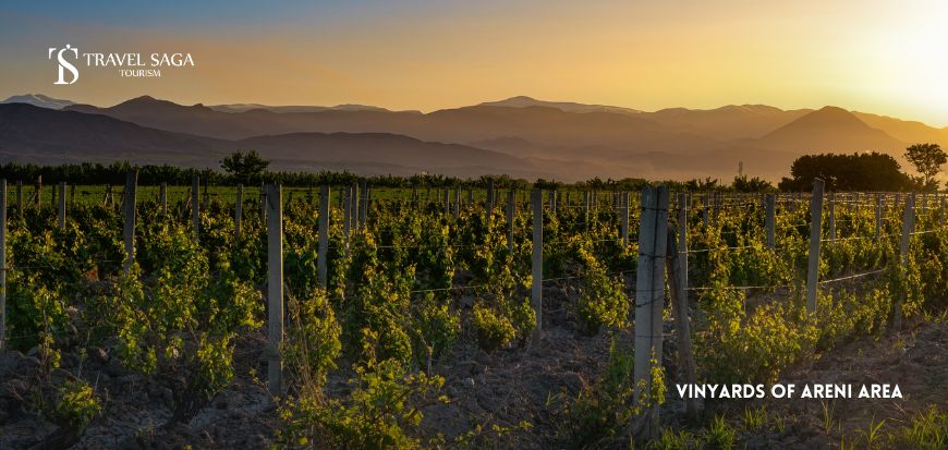 Vinyards of Areni Area