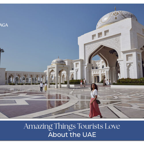 Top attractions tourists love in the UAE