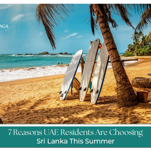 Tourists exploring Sri Lanka landscapes