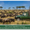 Great Migration Kenya wildlife crossing Mara River