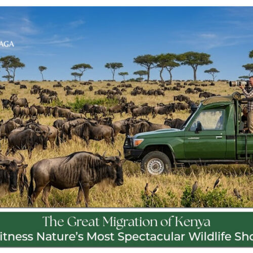 Great Migration Kenya wildlife crossing Mara River
