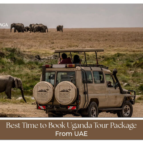 Plan the perfect Uganda holiday from Dubai