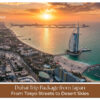 Japan to Dubai tour package