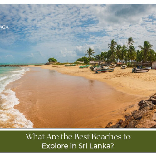 Beautiful beaches to explore in Sri Lanka