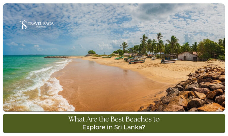 Beautiful beaches to explore in Sri Lanka