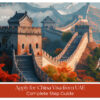 UAE to China visa process explained