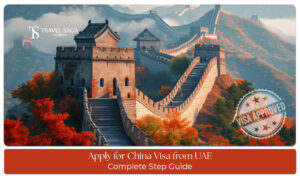 UAE to China visa process explained