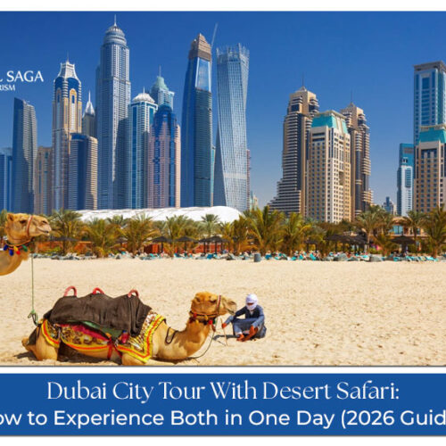 Dubai tour package with desert safari and city highlights