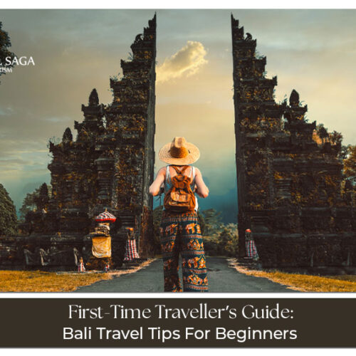 Travel Bali like a pro beginner guide