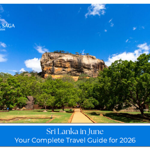 Sri Lanka island travel experiences in June
