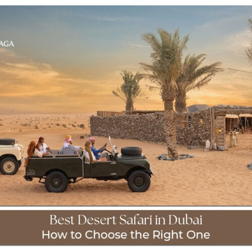 Best desert safari in Dubai with dune bashing, camel rides, and cultural shows