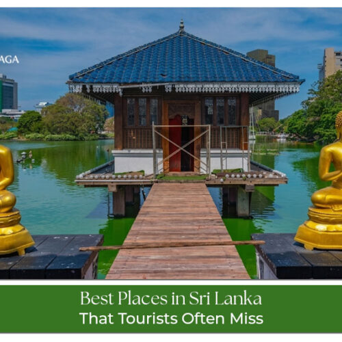 Best places in Sri Lanka featuring beaches, cultural sites, wildlife, and scenic landscapes