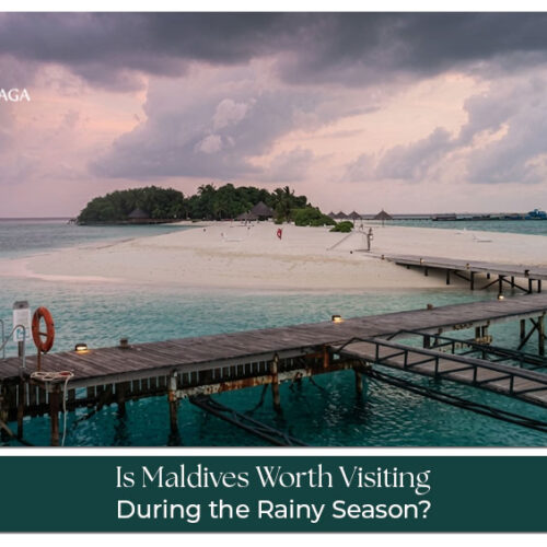 Maldives Rainy Season Travel Guide featuring budget-friendly luxury resorts, fewer crowds, tropical experiences, and essential travel tips for a memorable island getaway.