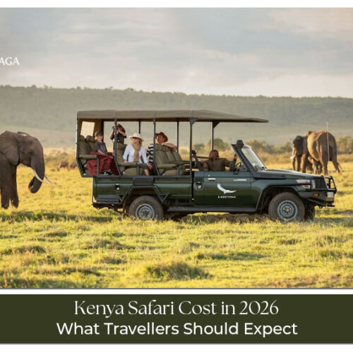 Kenya safari cost in 2026 including accommodation, park fees, and travel expenses