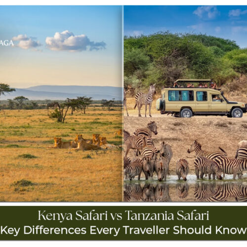 Kenya safari vs Tanzania safari comparison for wildlife, parks, and travel experiences