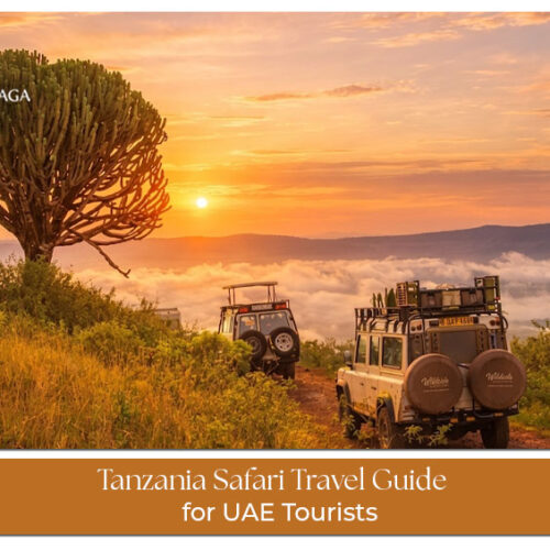 Tanzania safari for UAE tourists featuring wildlife, national parks, and game drives