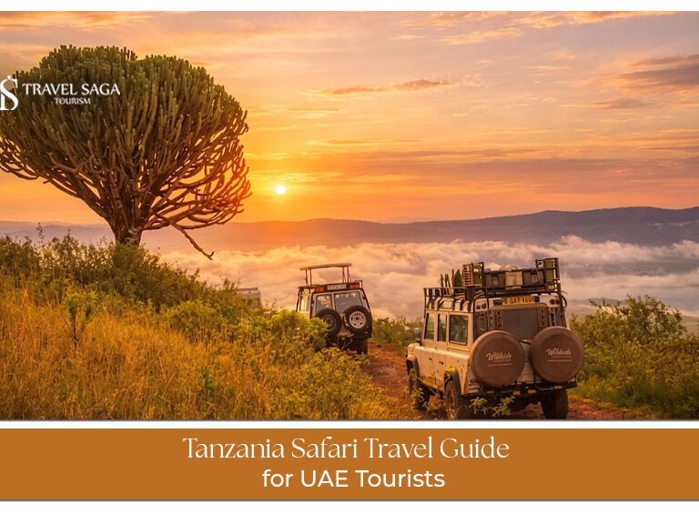 Tanzania safari for UAE tourists featuring wildlife, national parks, and game drives
