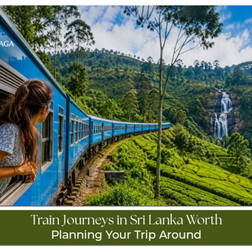 Train journeys in Sri Lanka with scenic routes, mountains, and countryside views